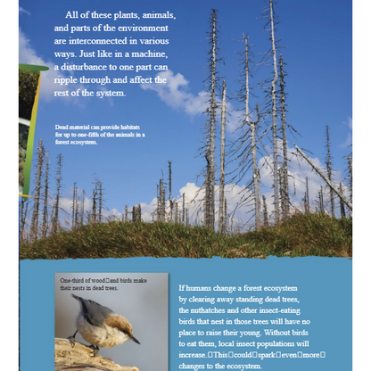 Ecosystem Effect Reader Grade 4-8