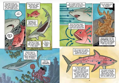 Science Comics: Sharks: Nature's Perfect Hunter