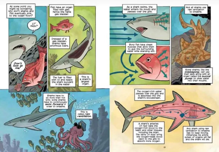 Science Comics: Sharks: Nature's Perfect Hunter