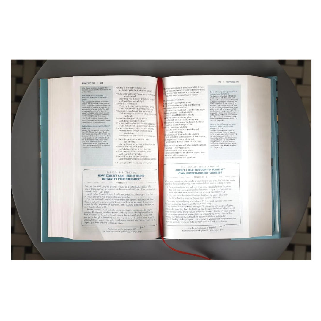 NIV Quest Study Bible For Teens