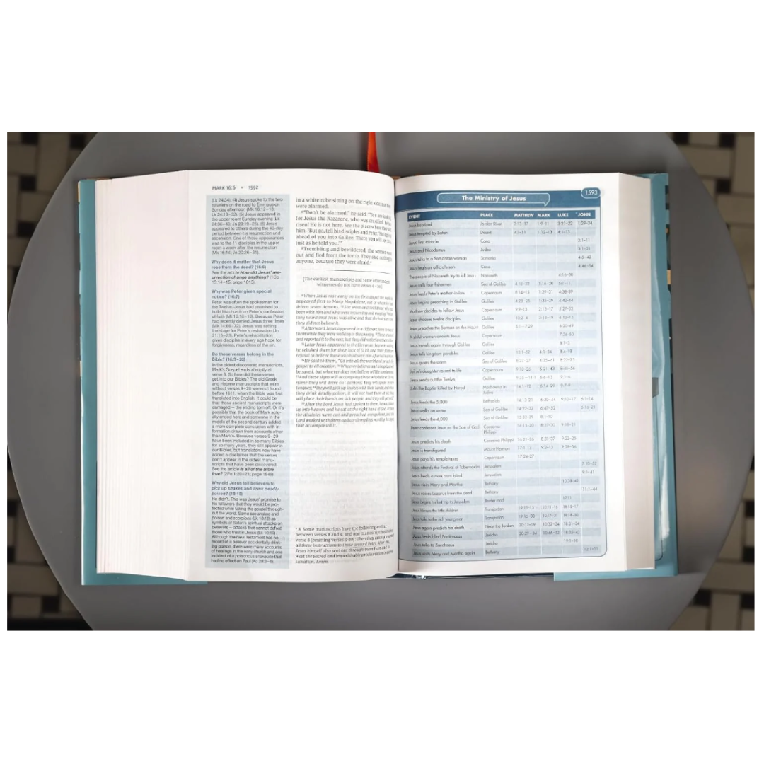 NIV Quest Study Bible For Teens