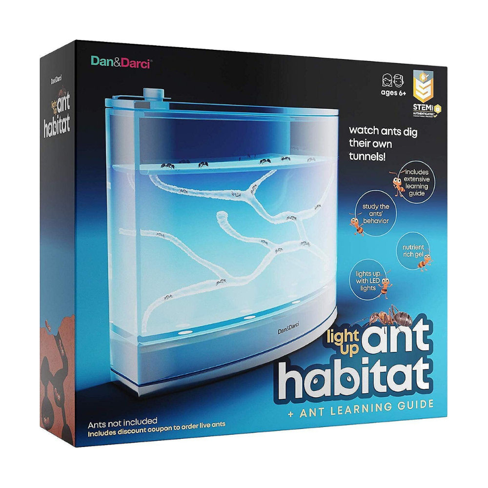 Light Up Ant Habitat