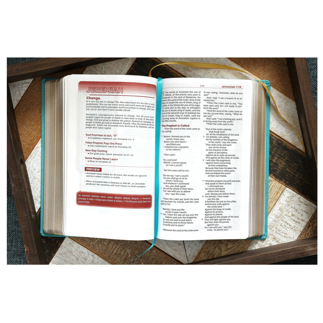 NKJV Teen Study Bible