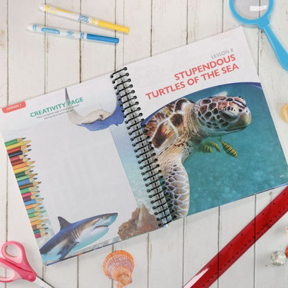 Apologia: Exploring Creation with Zoology 2 Notebook