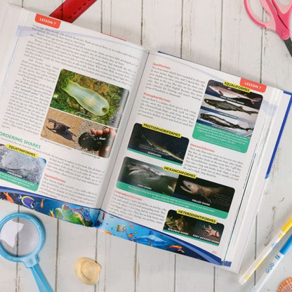 Apologia: Exploring Creation with Zoology 2 Textbook