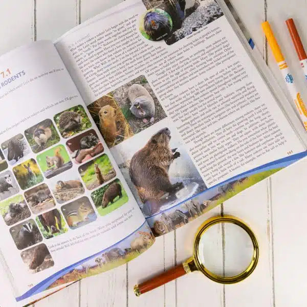 Apologia: Exploring Creation with Zoology 3 Textbook