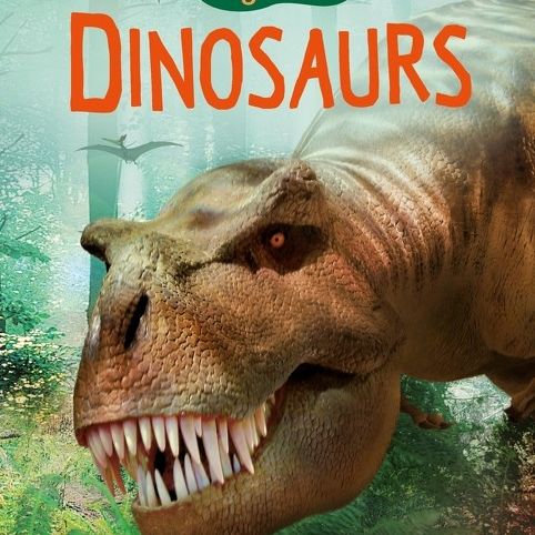 Dinosaurs: Usborne Beginners