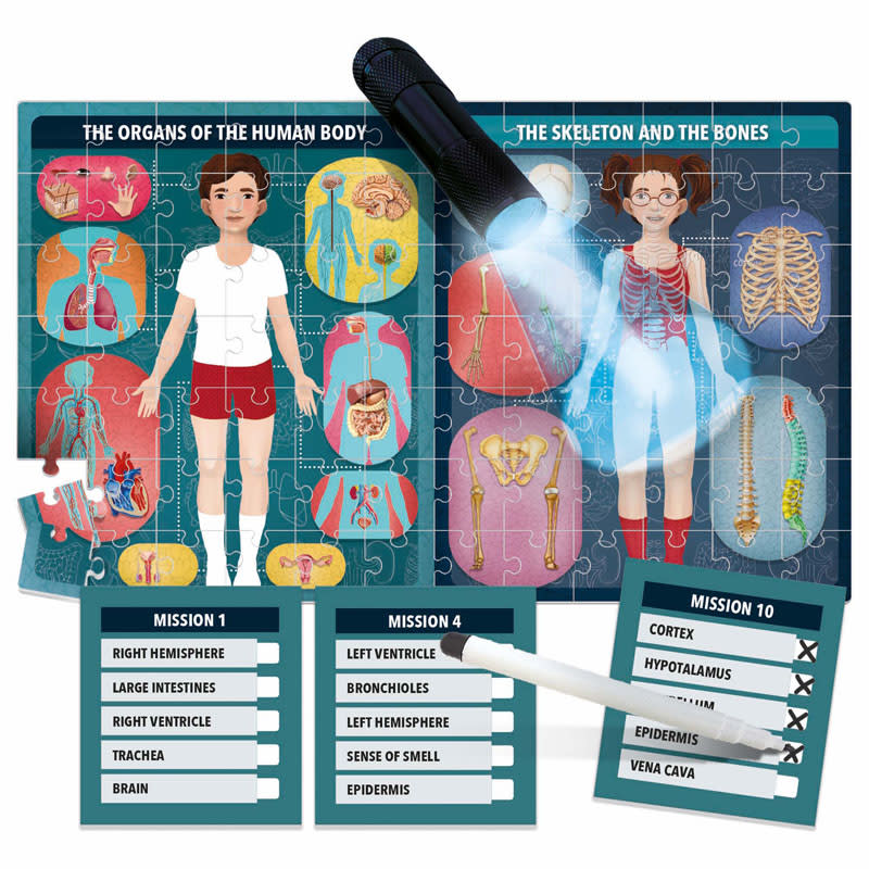 Headu: The Human Body Under X-ray Puzzle