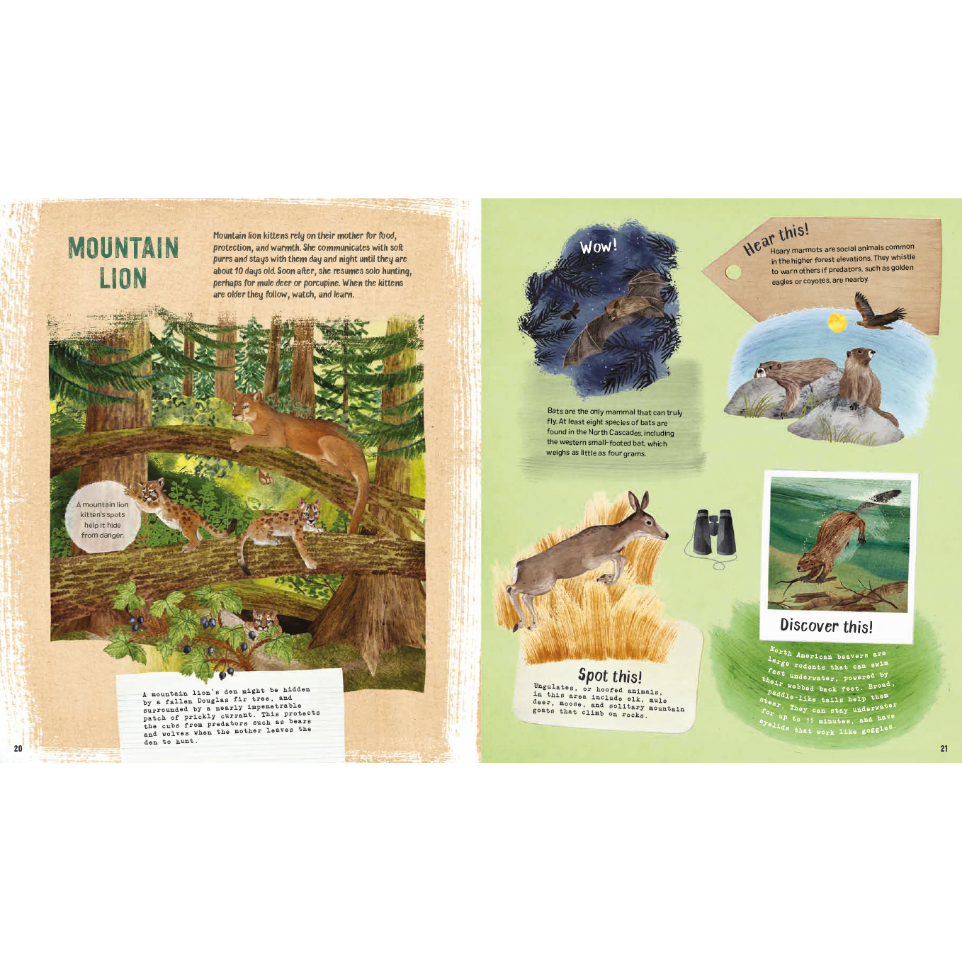 Explore! America's Wildlife