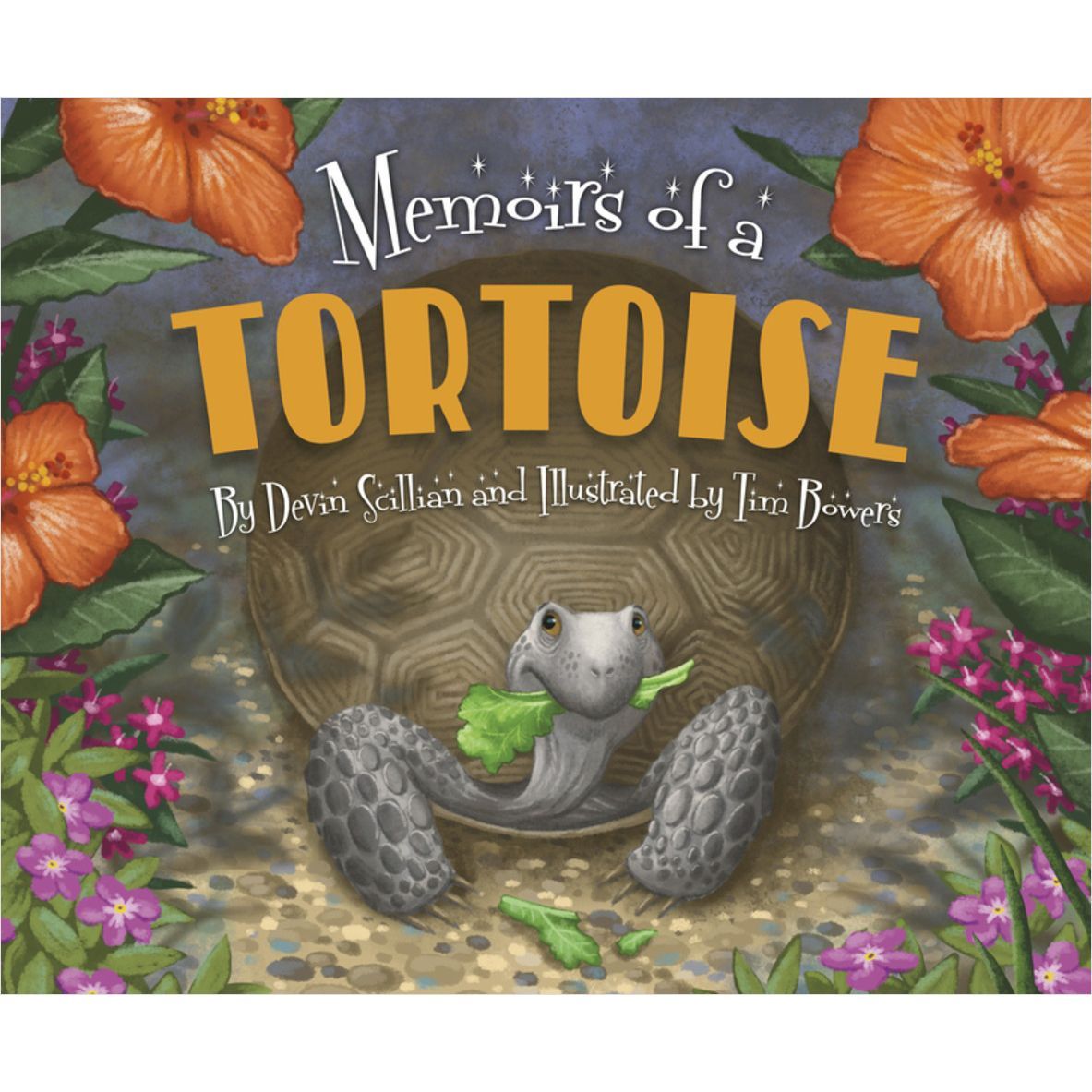 Memoirs of a Tortoise Picture  Book