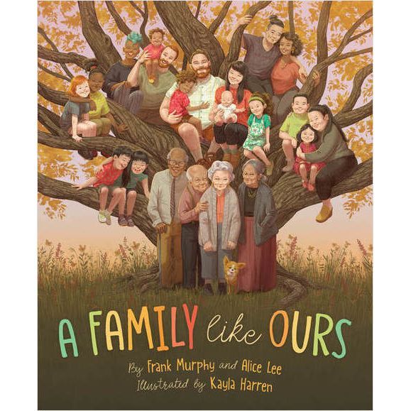 A Family Like Ours Picture Book