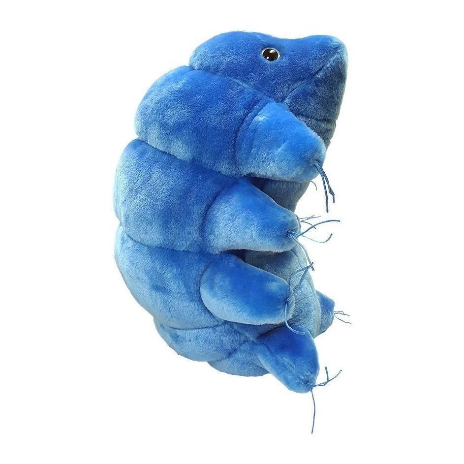 Giant Waterbear